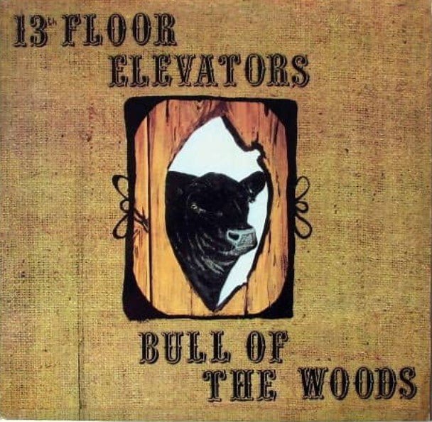 13th Floor Elevators Bull of the Woods - La Boîte Musicale - Vinyl Records - Disquaire - 