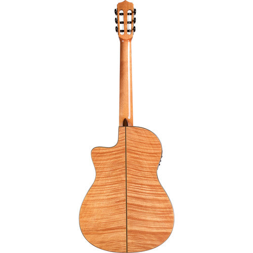 Cordoba FUSION 14 Maple Nylon-String Hybrid Classical Guitar - Natural Gloss