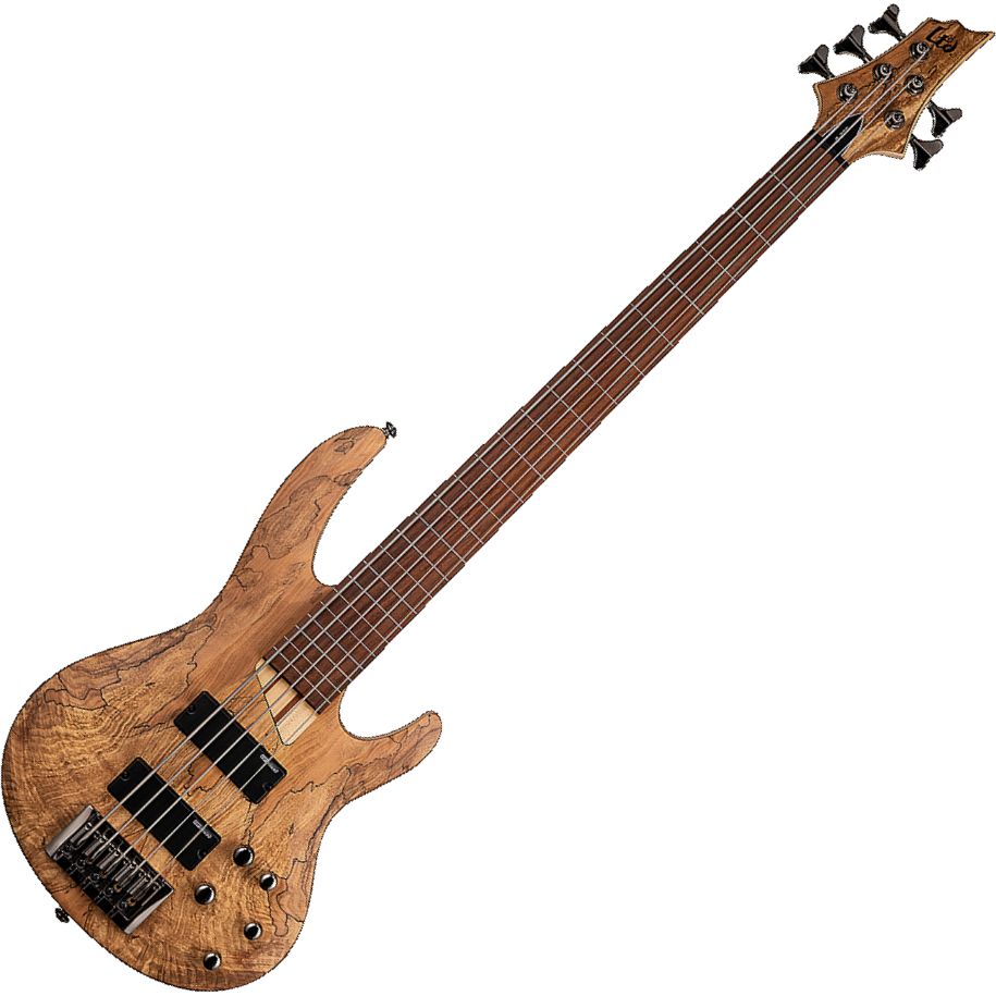 ESP Guitars LB205SMFLNS LTD B-205SM Multi Scale 5-string RH Fretless Electric Bass-Natural lb-205-smflns