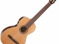 Godin - Motif Clasica II