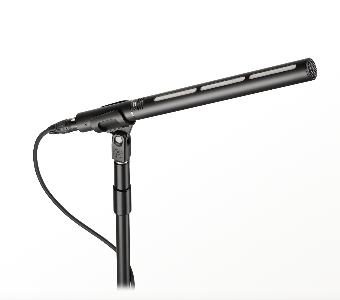 Audio-Technica BP28 Line + Gradient Microphone
