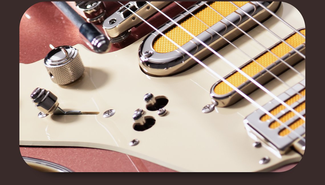Duesenberg - Bros Landreth Joey Signature Guitare avec étui - Catalina Sunset Rose 