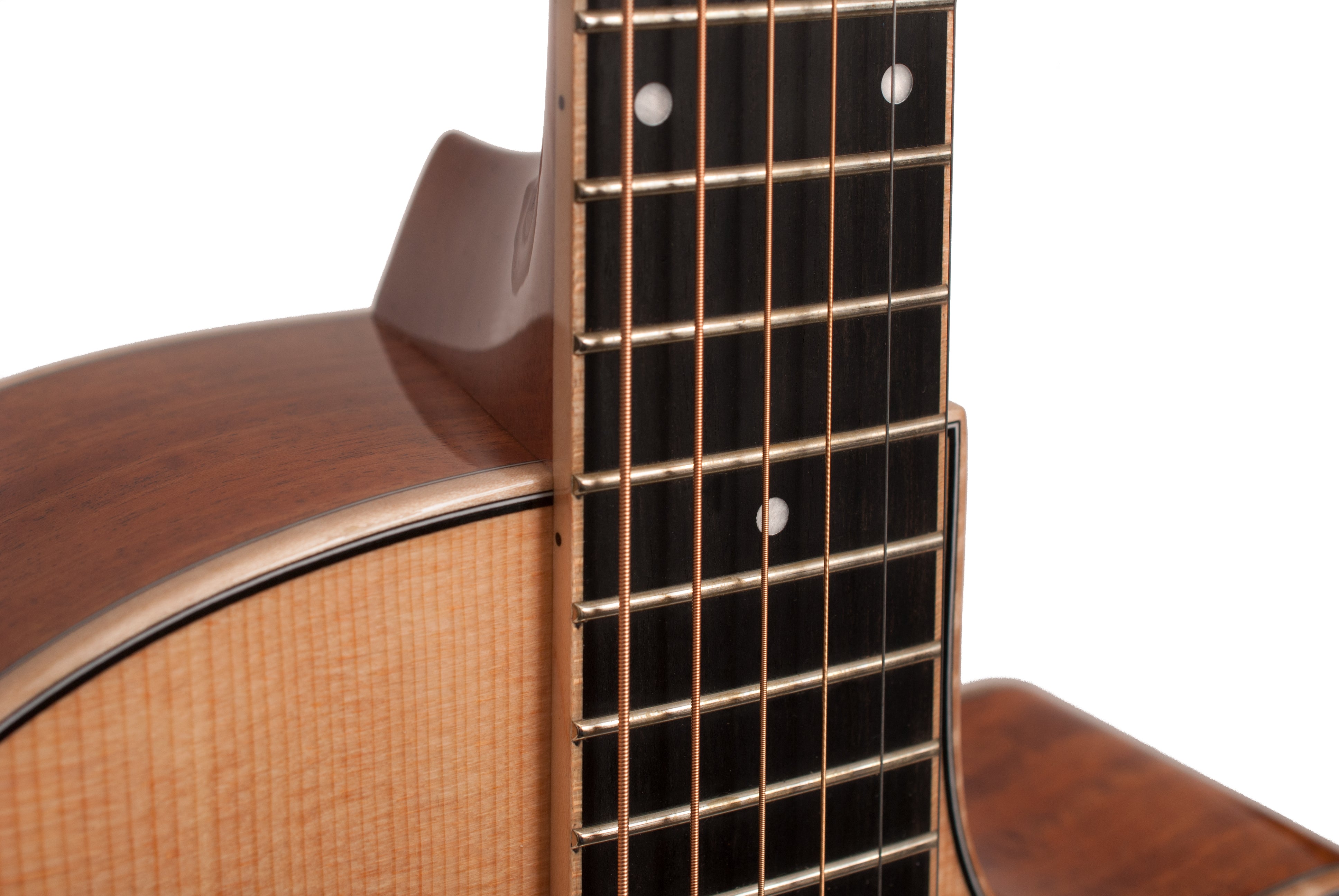 Larrivée LV-05 05 Series