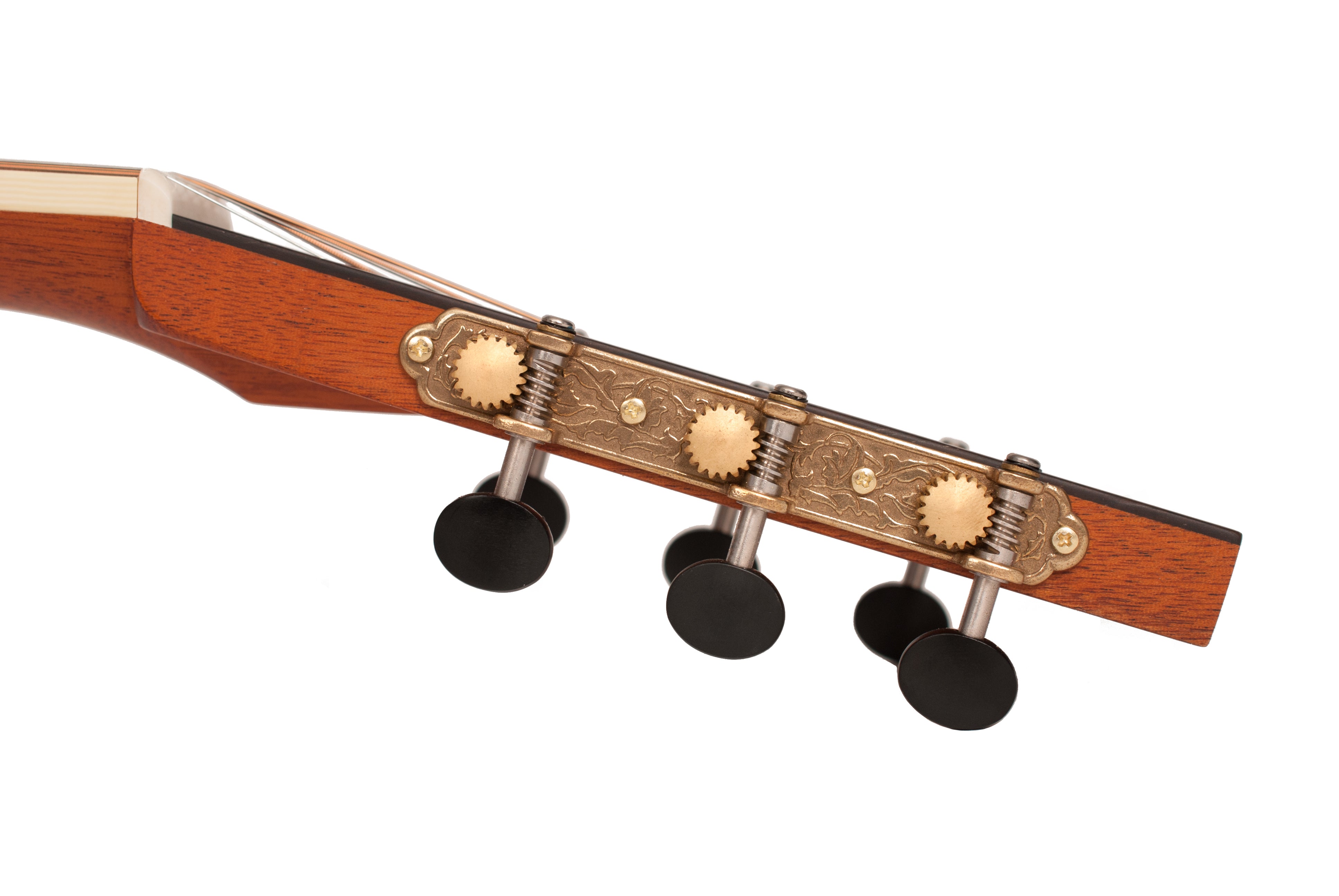 Larrivée OOO-50E 50 Series