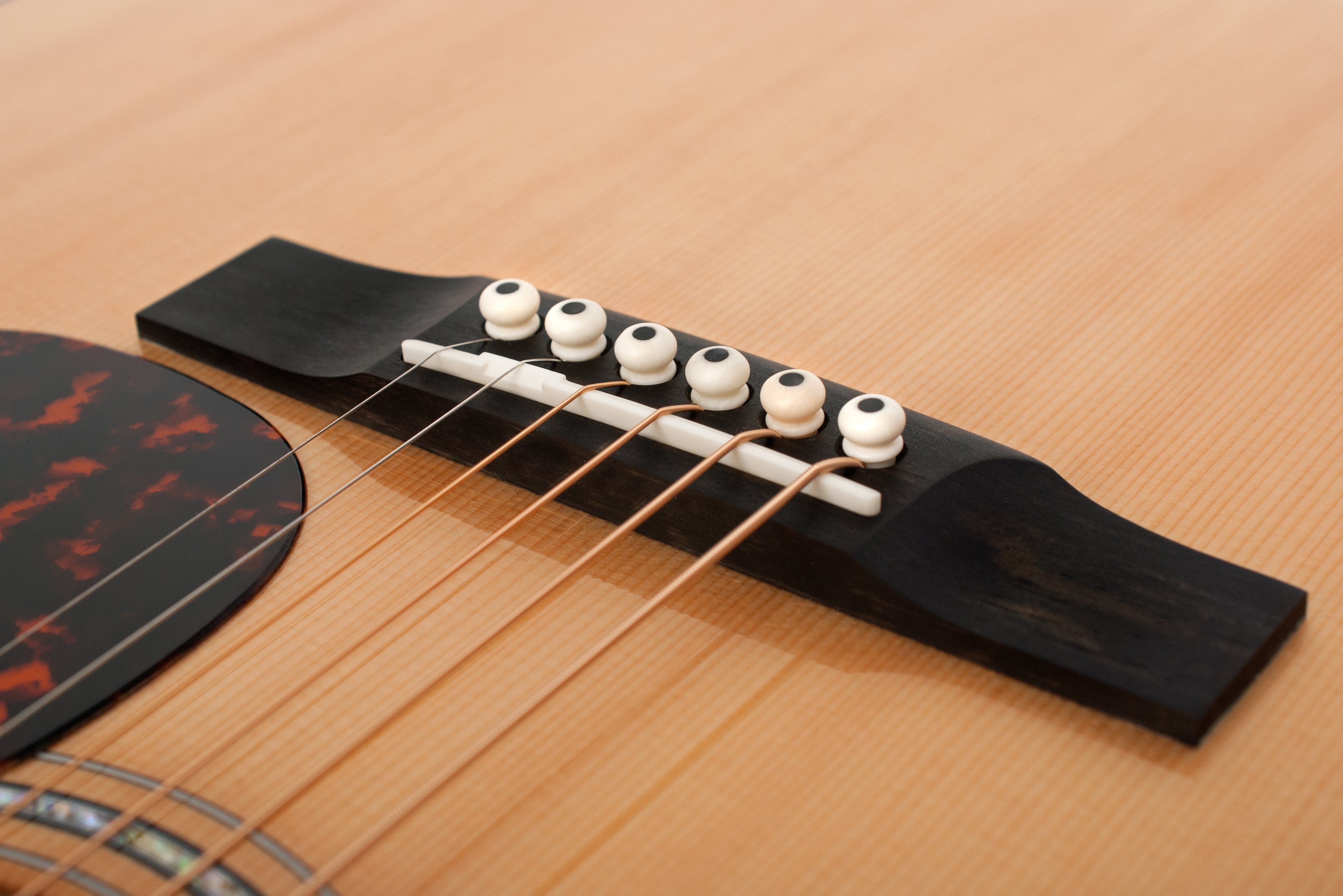 Larrivée LV-05E 05 Series