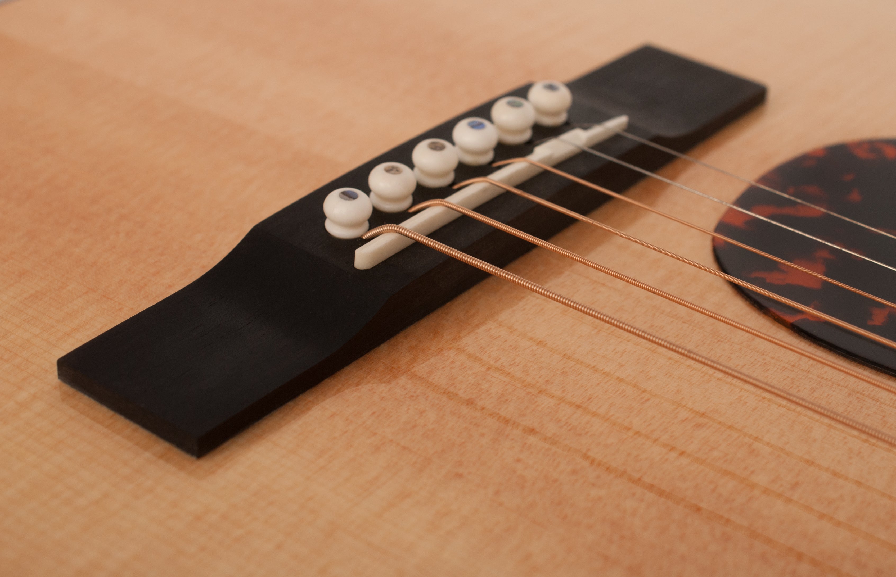 Larrivée P-05E 05 Series