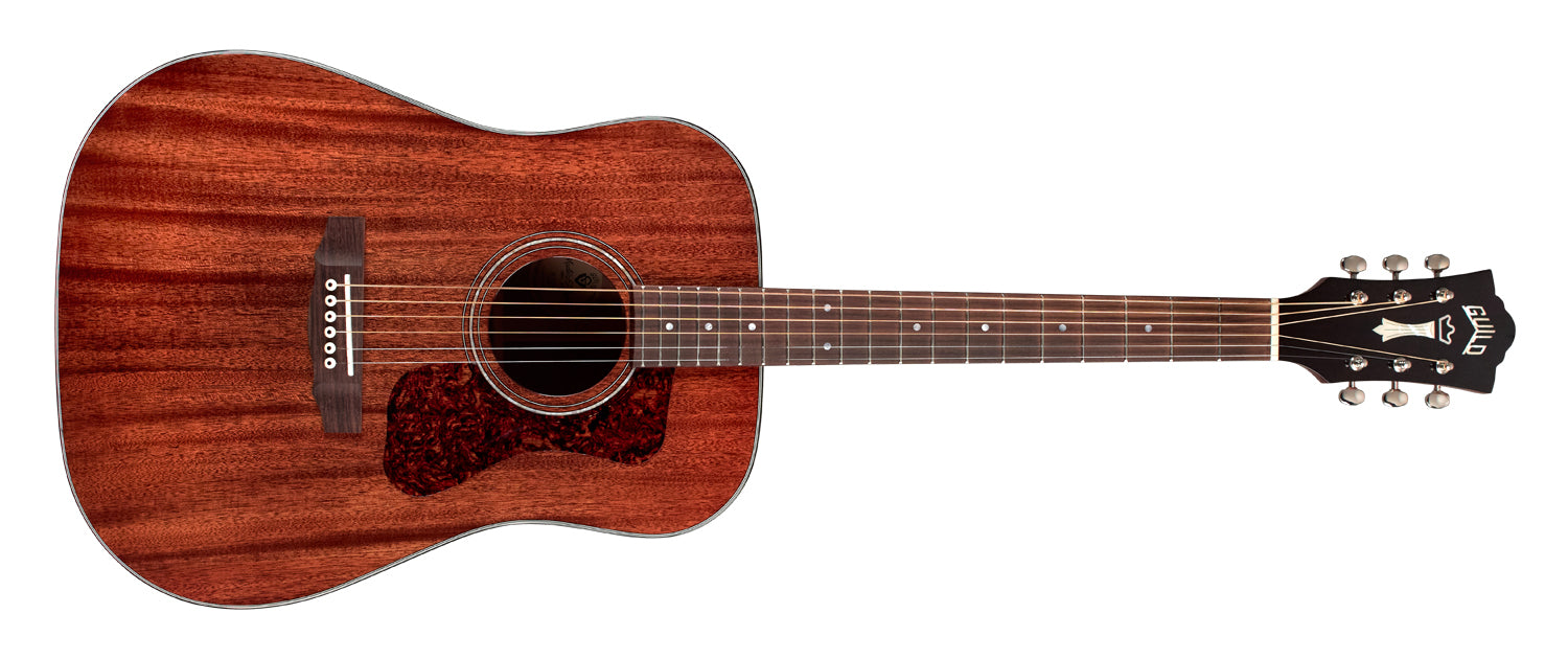 D-120 Dreadnought Acoustic Guitar