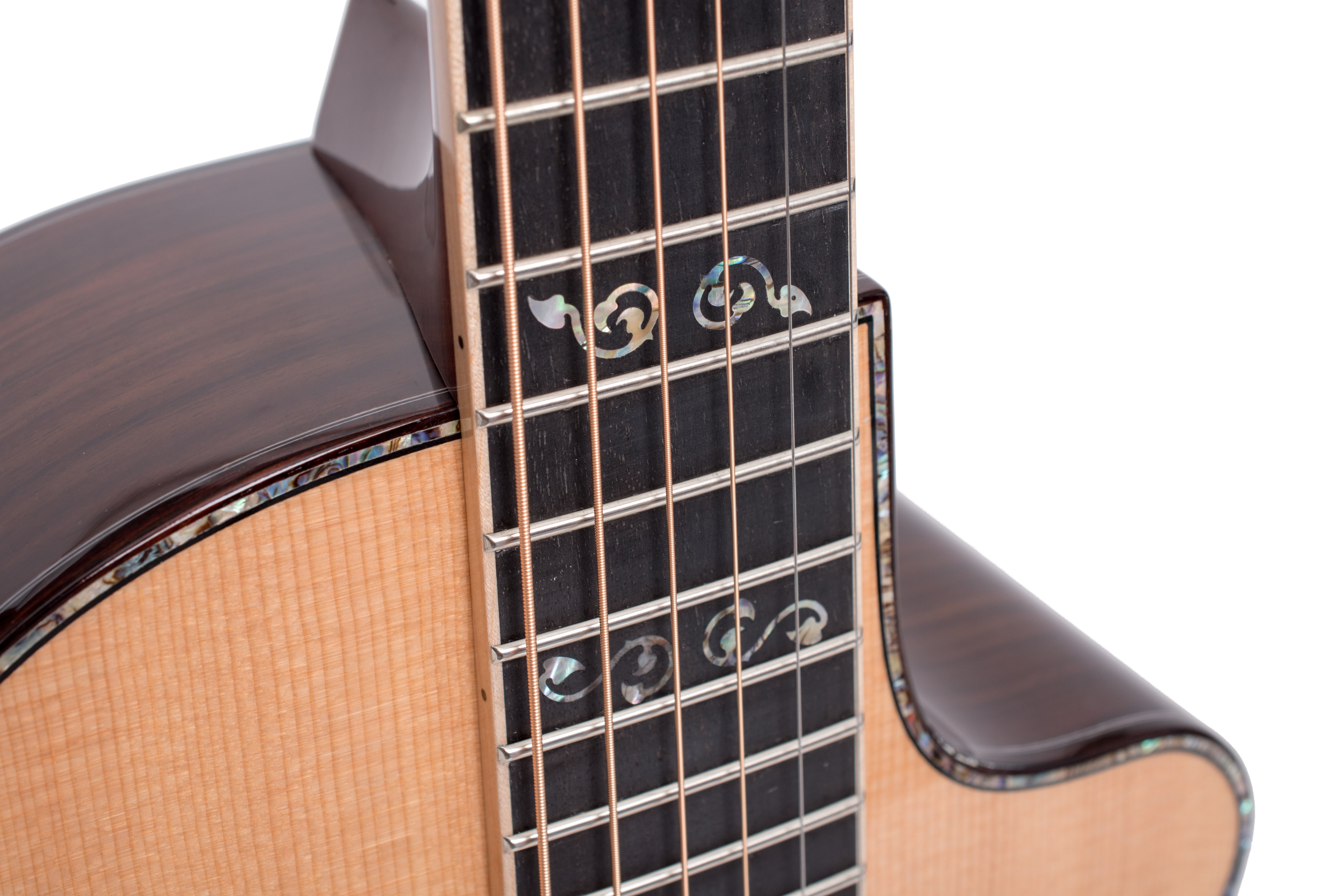 Larrivée PV-10E 10 Series