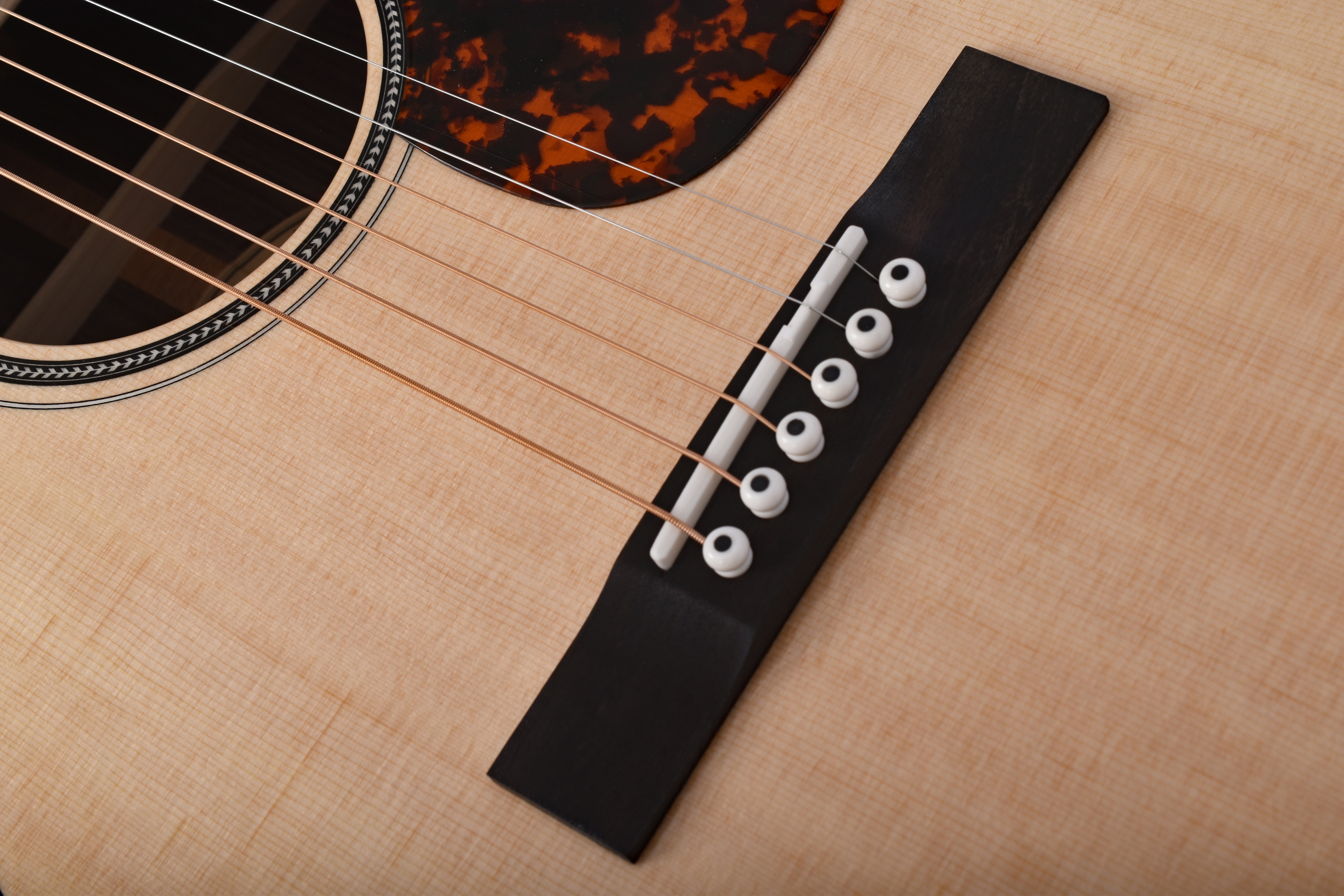 Larrivée SD-60E 60 Series