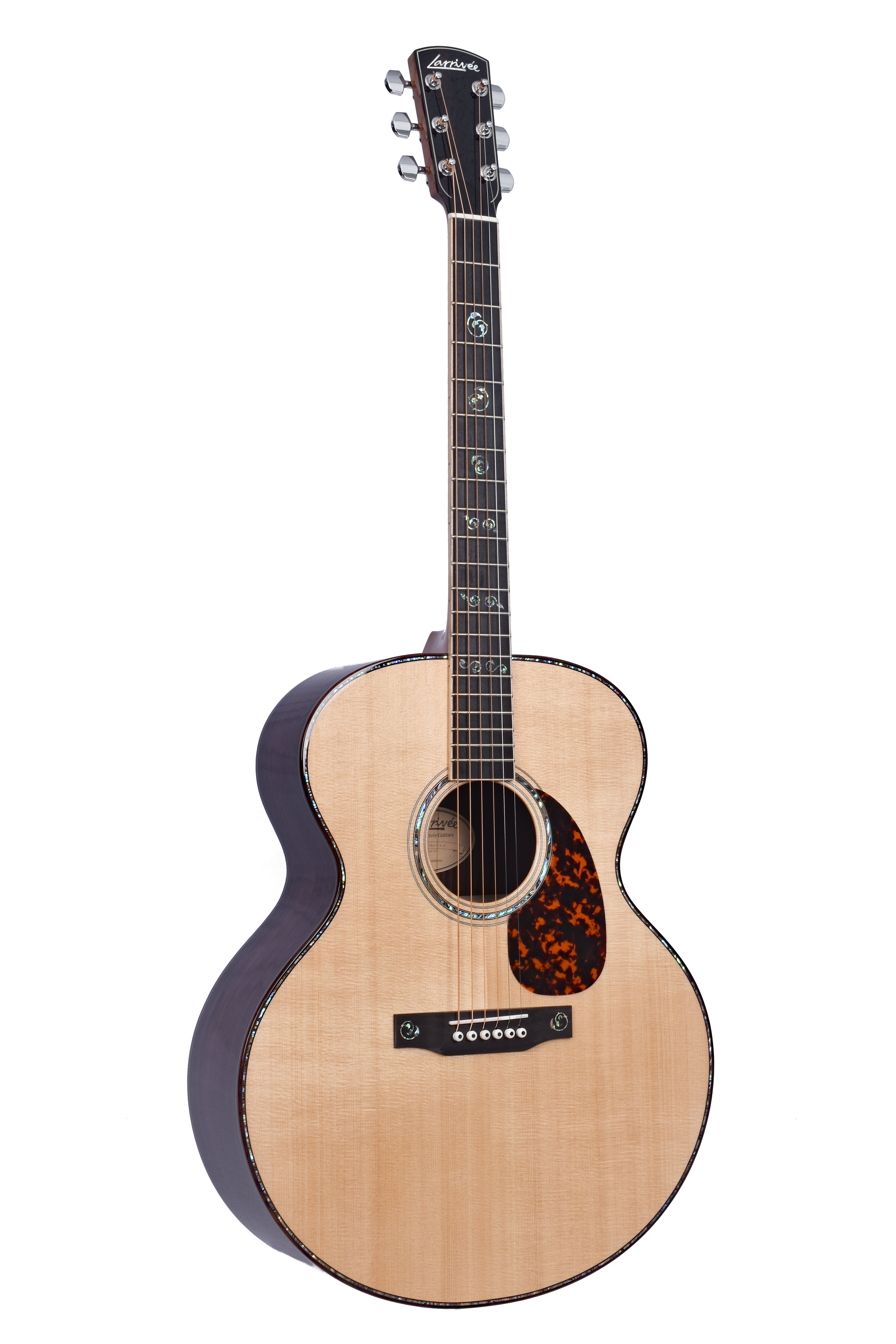 Larrivée J-10E 10 Series