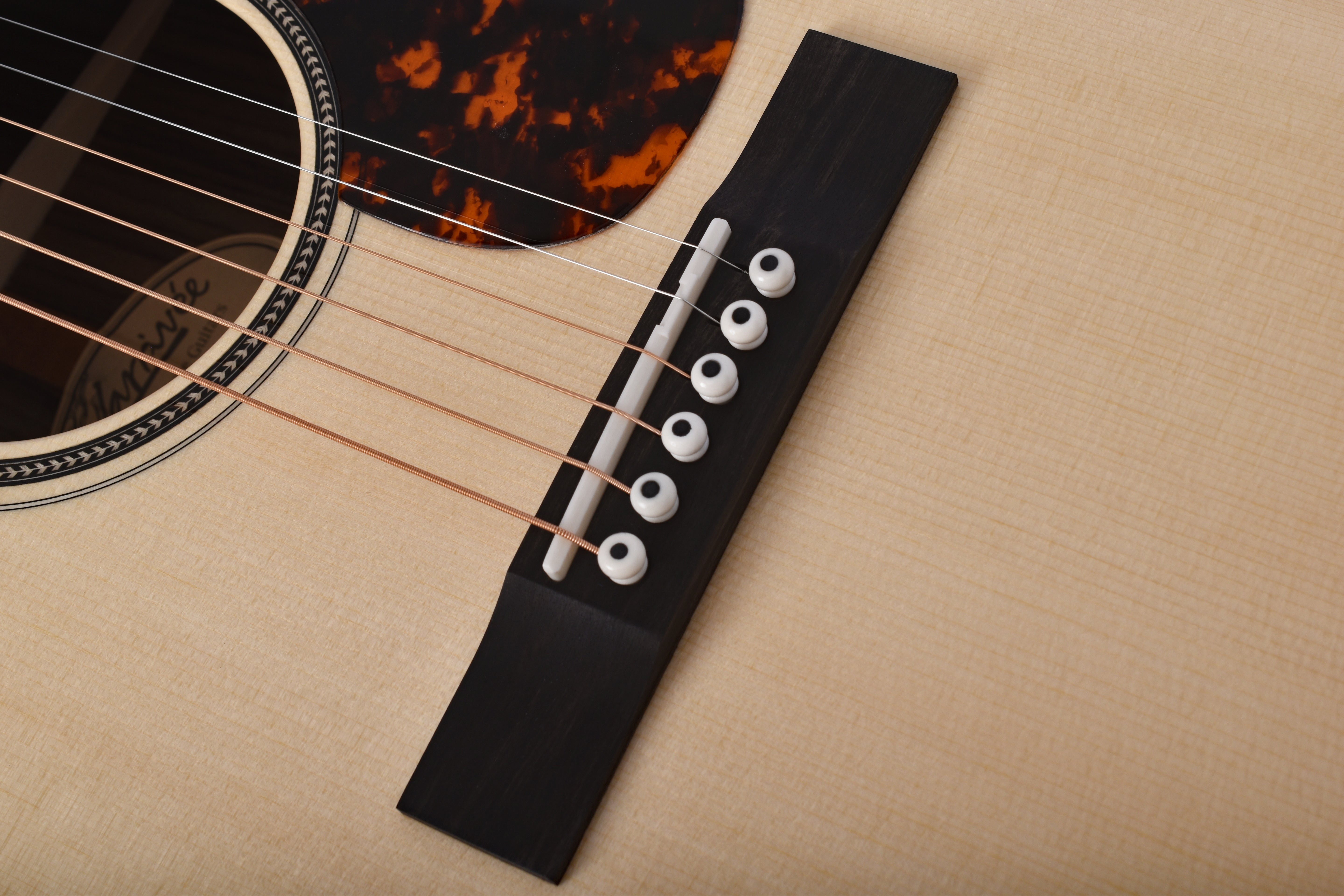 Larrivée OO-60E 60 Series