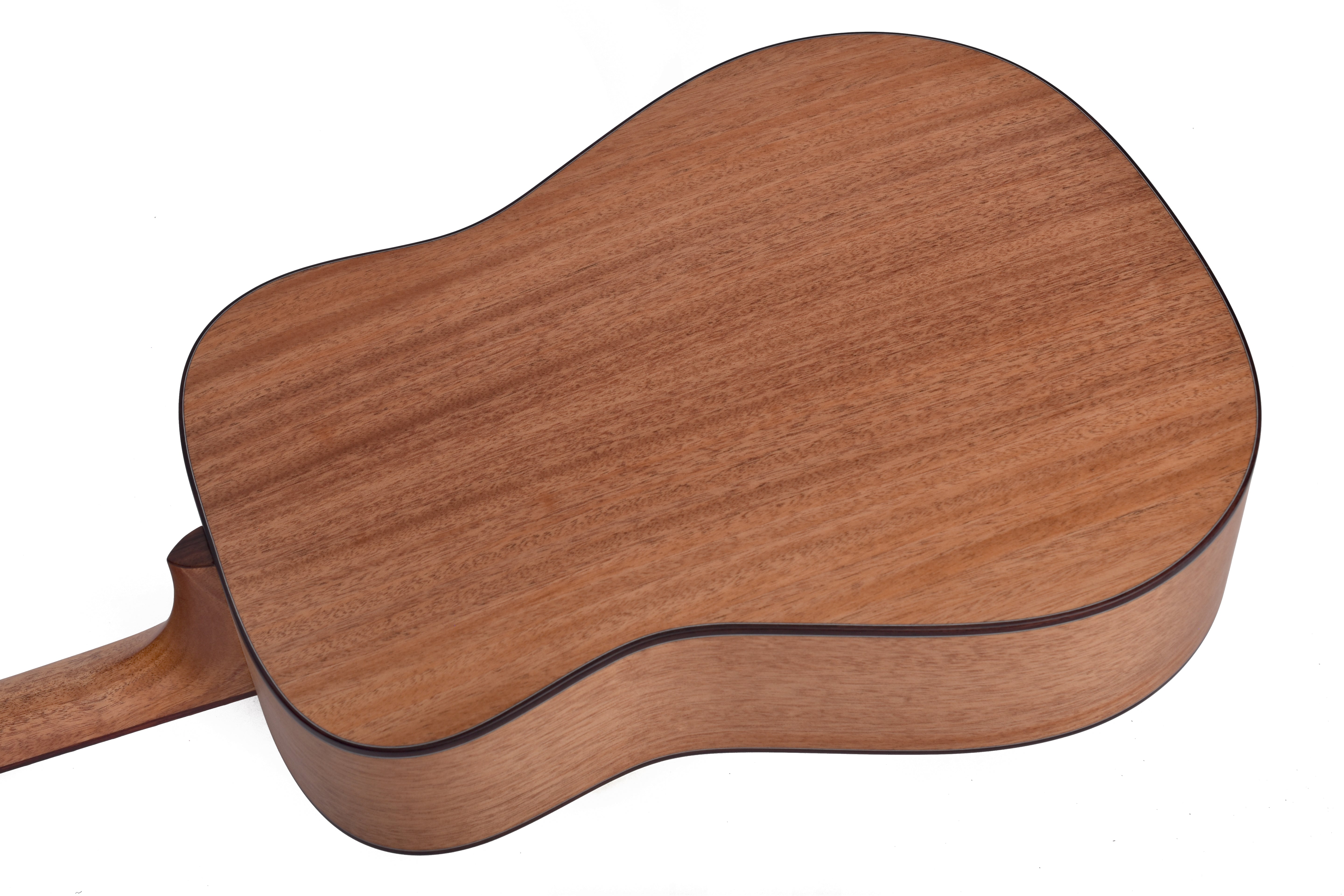 Larrivée D-24E Series Mahogany