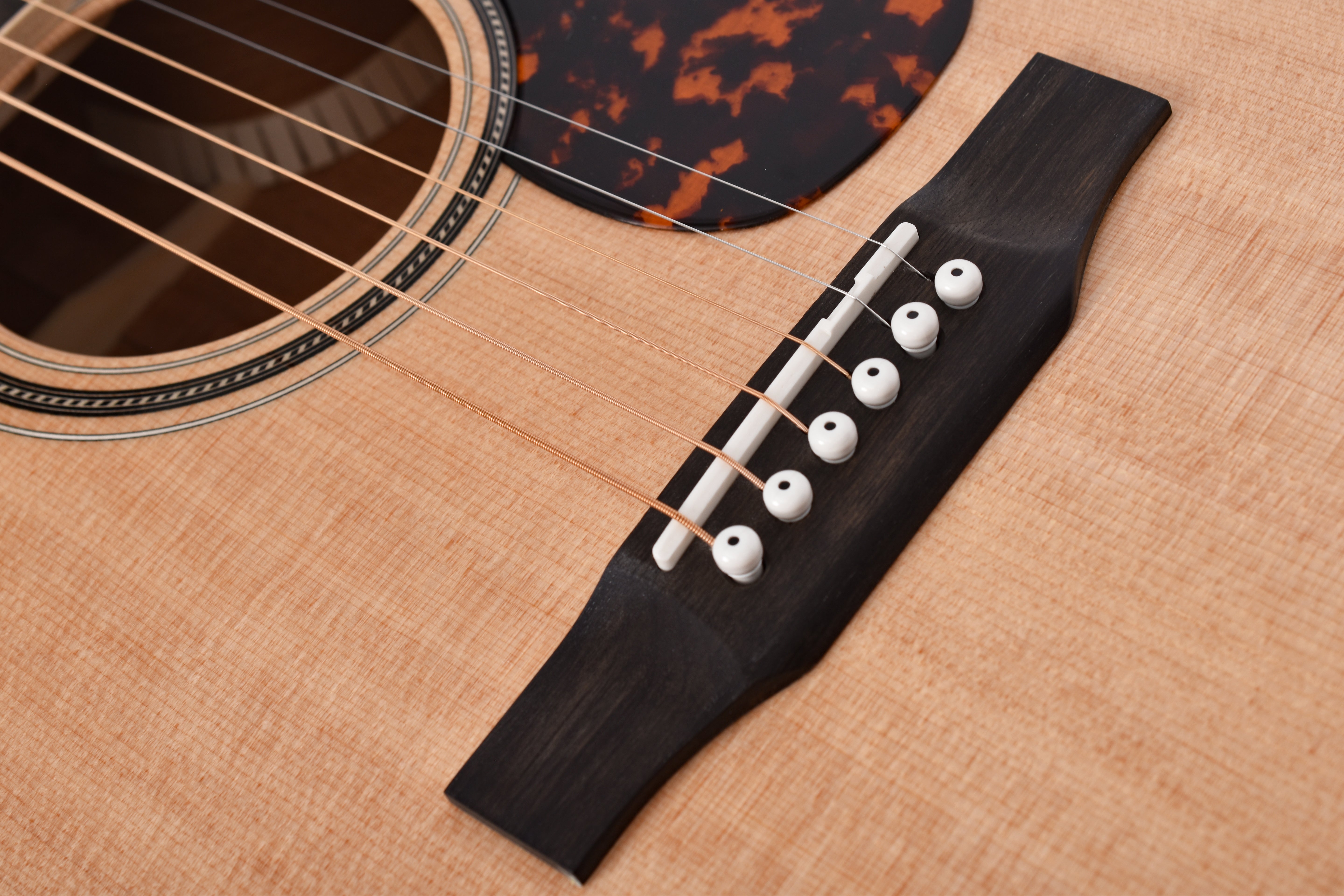 Larrivée OMV-44E Series Mahogany