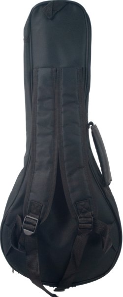 Profile - Mandolin Bag for Beginners