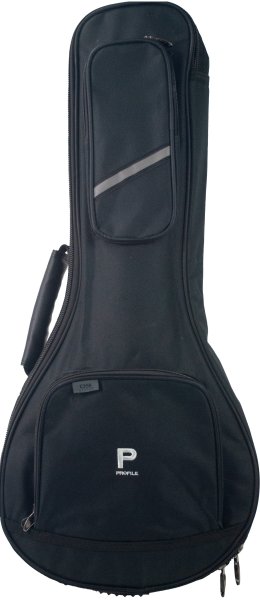 Profile - Mandolin Bag for Beginners