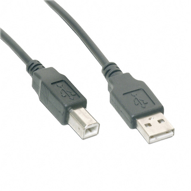 Cable USB 2.0 A Pkug to B Plug 6.65'