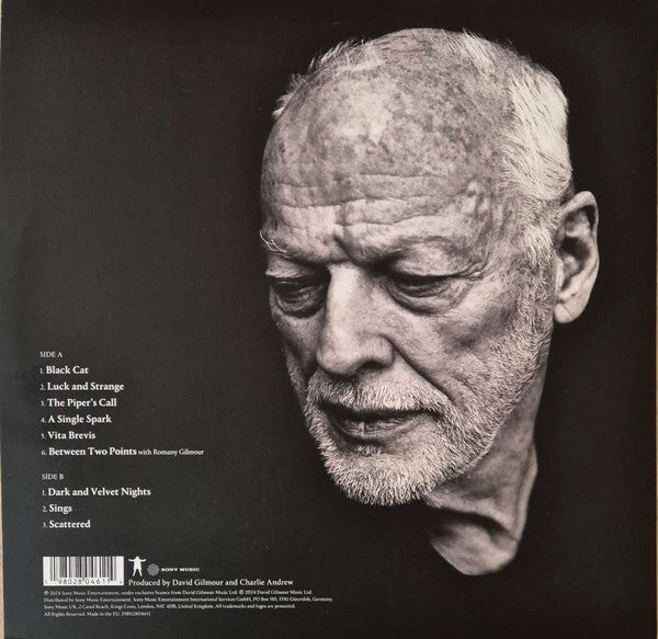 David Gilmour - Luck And Strange LP