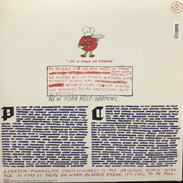 Parquet Courts - Light Up Gold LP