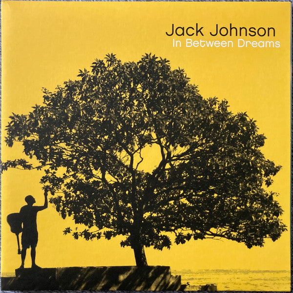 Johnson, Jack - Album In Between Dreams