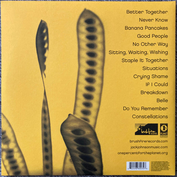 Johnson, Jack - In Between Dreams LP