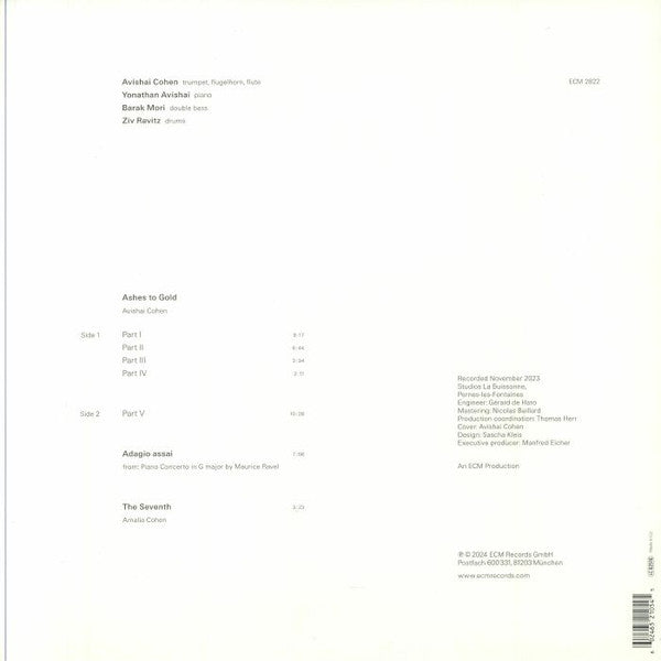 Cohen, Avishai - Ashes To Gold LP