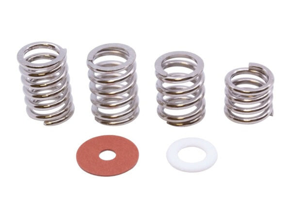 Bigsby® - Spring and Washer Pack- Steel