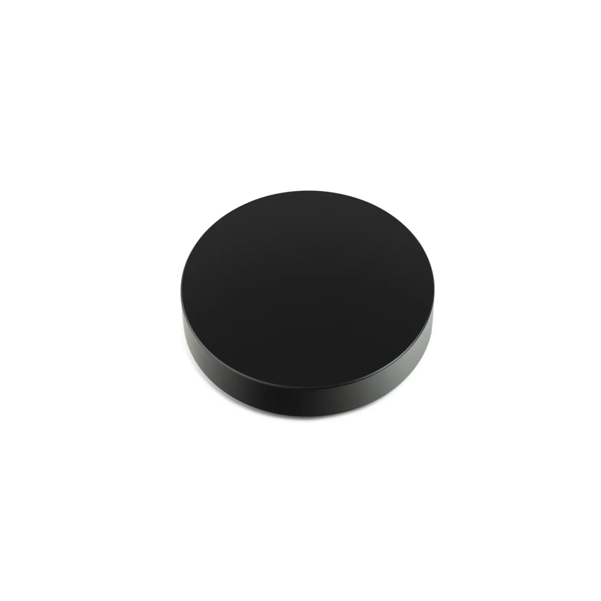 Pro-Ject RECORD PUCK E SILVER (SILVER POLISHED ALUMINUM) — vue 1