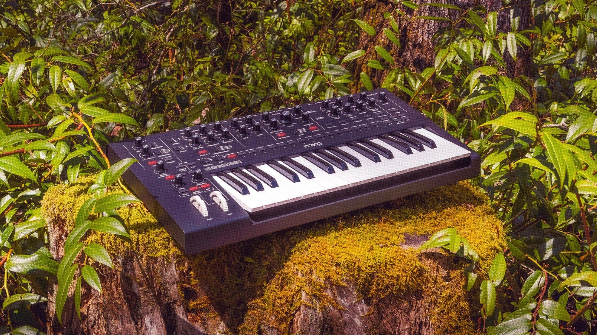 Moog - Messenger