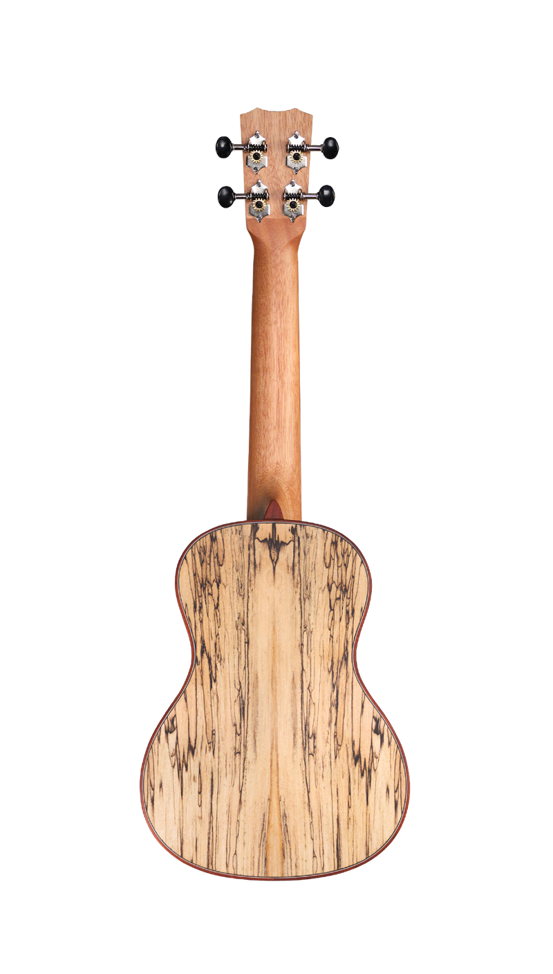 Cordoba 24C Spruce Concert Ukulele (Natural Finish)