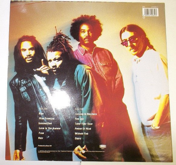 Bad Brains - Rise - La Boîte Musicale - Vinyl Records - Vinyl Records - 