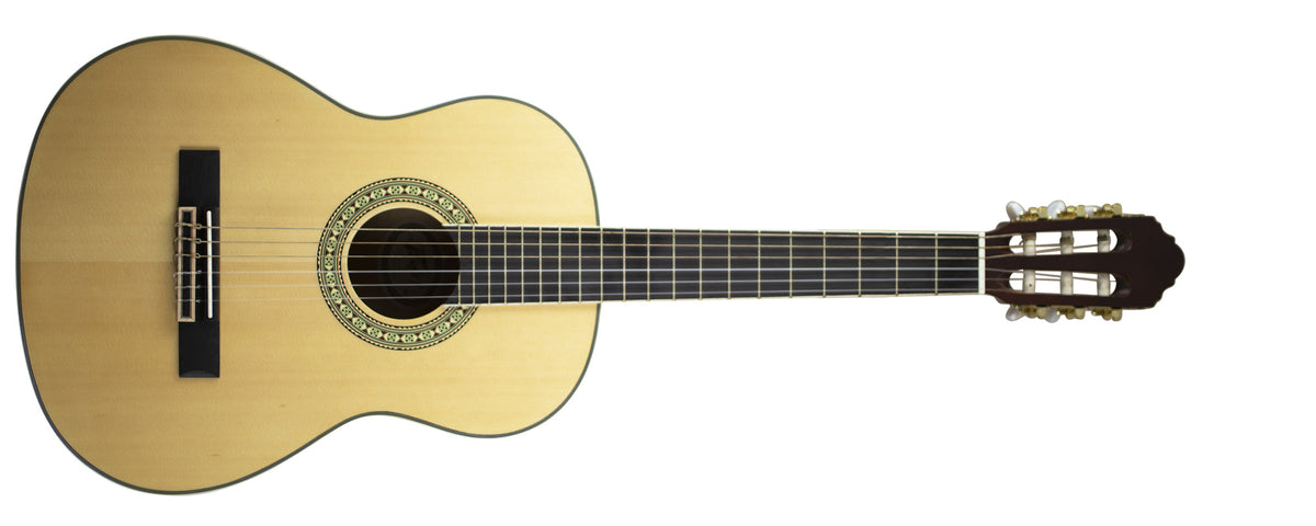 Peavey Delta Woods™ CNS 3/4™ Classical Nylon String Guitar
