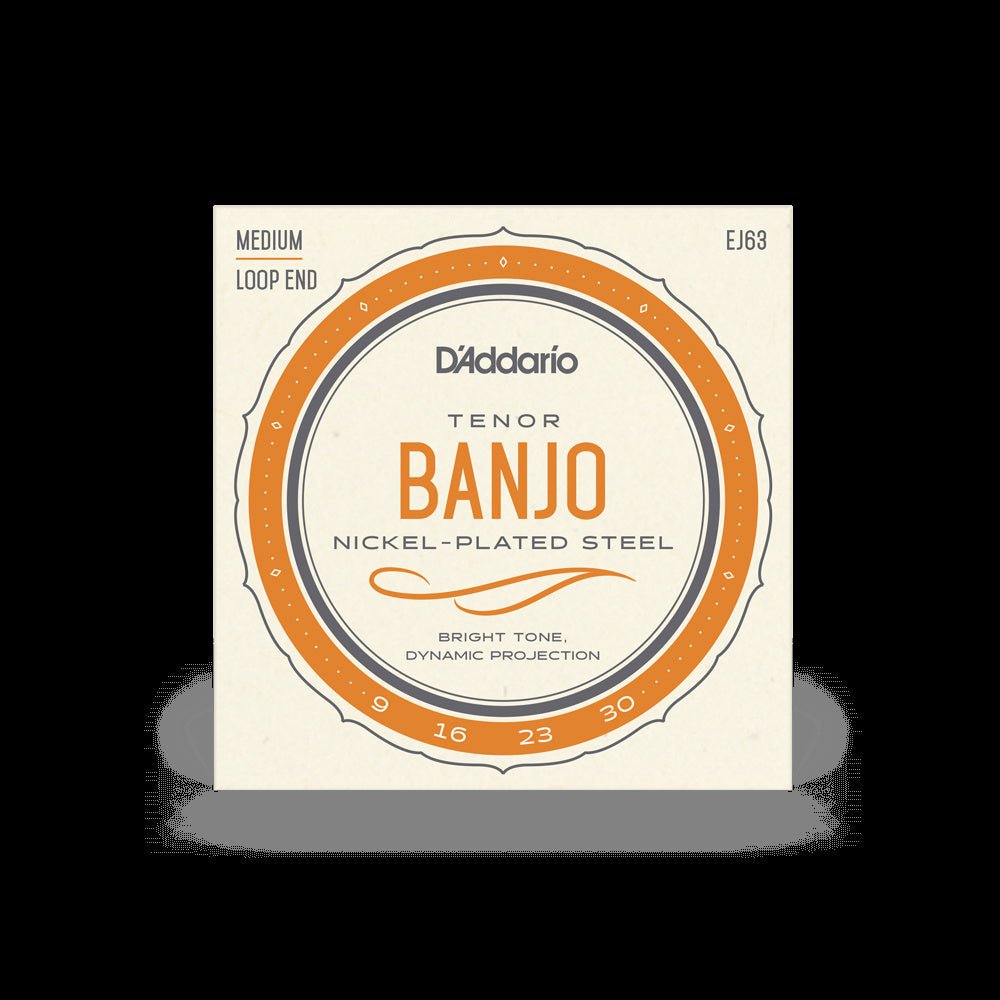 D'Addario - Tenor Banjo Nickel - Plated Steel / Medium Loop End - La Boîte Musicale - La Boîte Musicale - 