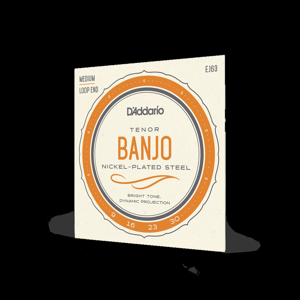 D'Addario - Tenor Banjo Nickel - Plated Steel / Medium Loop End - La Boîte Musicale - La Boîte Musicale - 