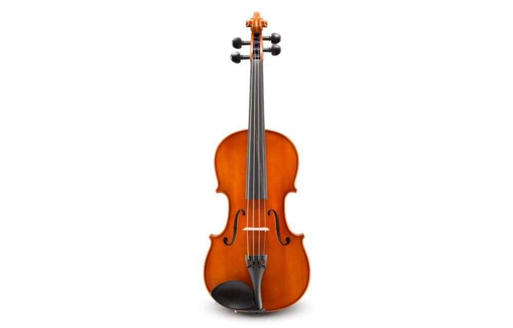 Eastman - Violin 1/2 Outfit V80 - La Boîte Musicale - Eastman - 