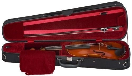 Eastman - Violin 4/4 Outfit V80 - La Boîte Musicale - Eastman - 