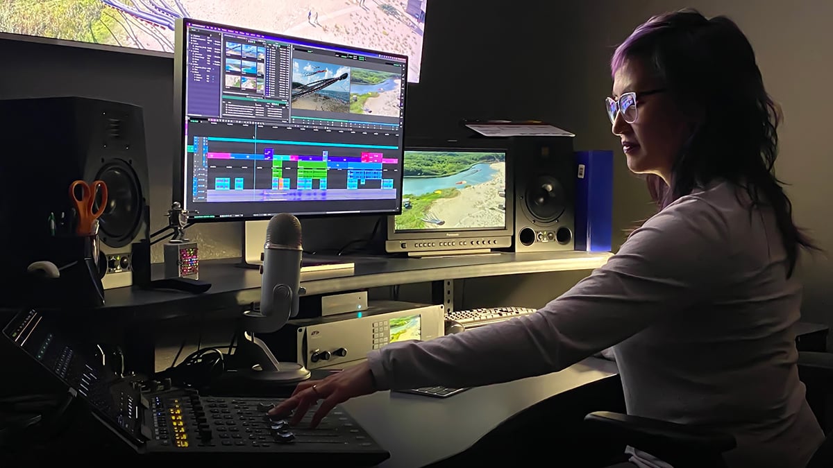 Avid Media Composer Ultimate Educational - 1-Year Subscription RE(New)AL - illustrative software family artwork; hardware not included