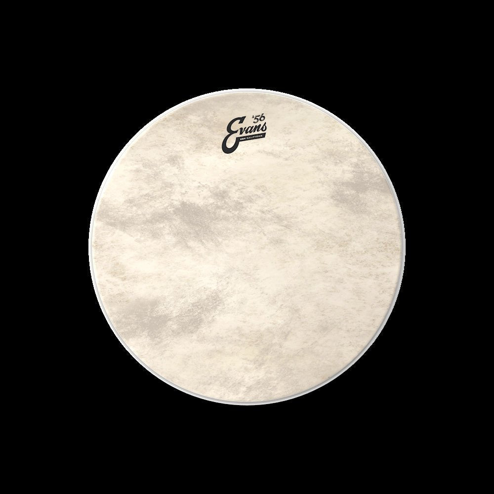 Evans - EQ4 Calftone Bass Drum Head - 18 Inch - La Boîte Musicale - Drum Heads - Evans - 