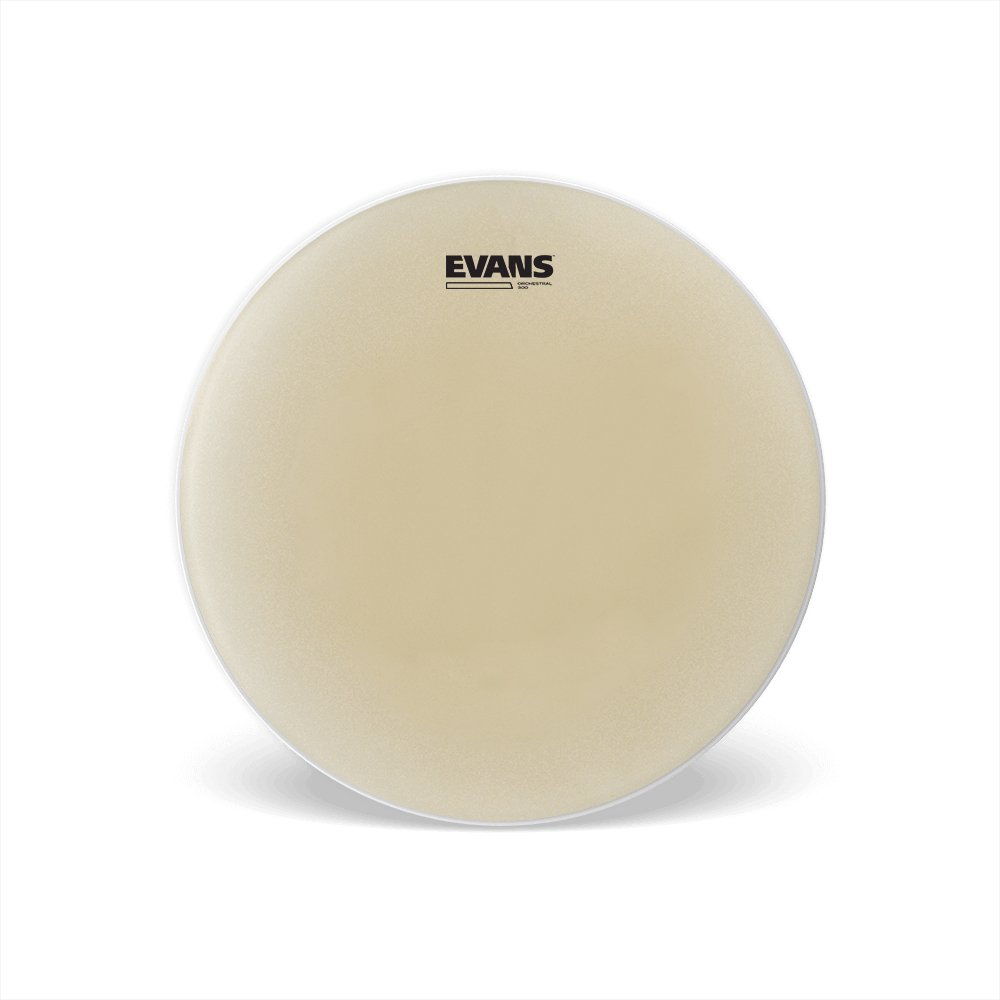 Evans - Orchestral 300 Snare Side Evans 14 - La Boîte Musicale - Drum Heads - Evans - 