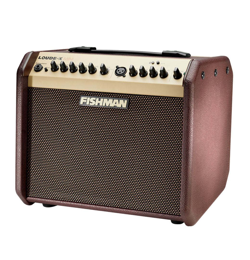 Fishman - Loudbox Mini, Acoustic Instrument Amp 60W