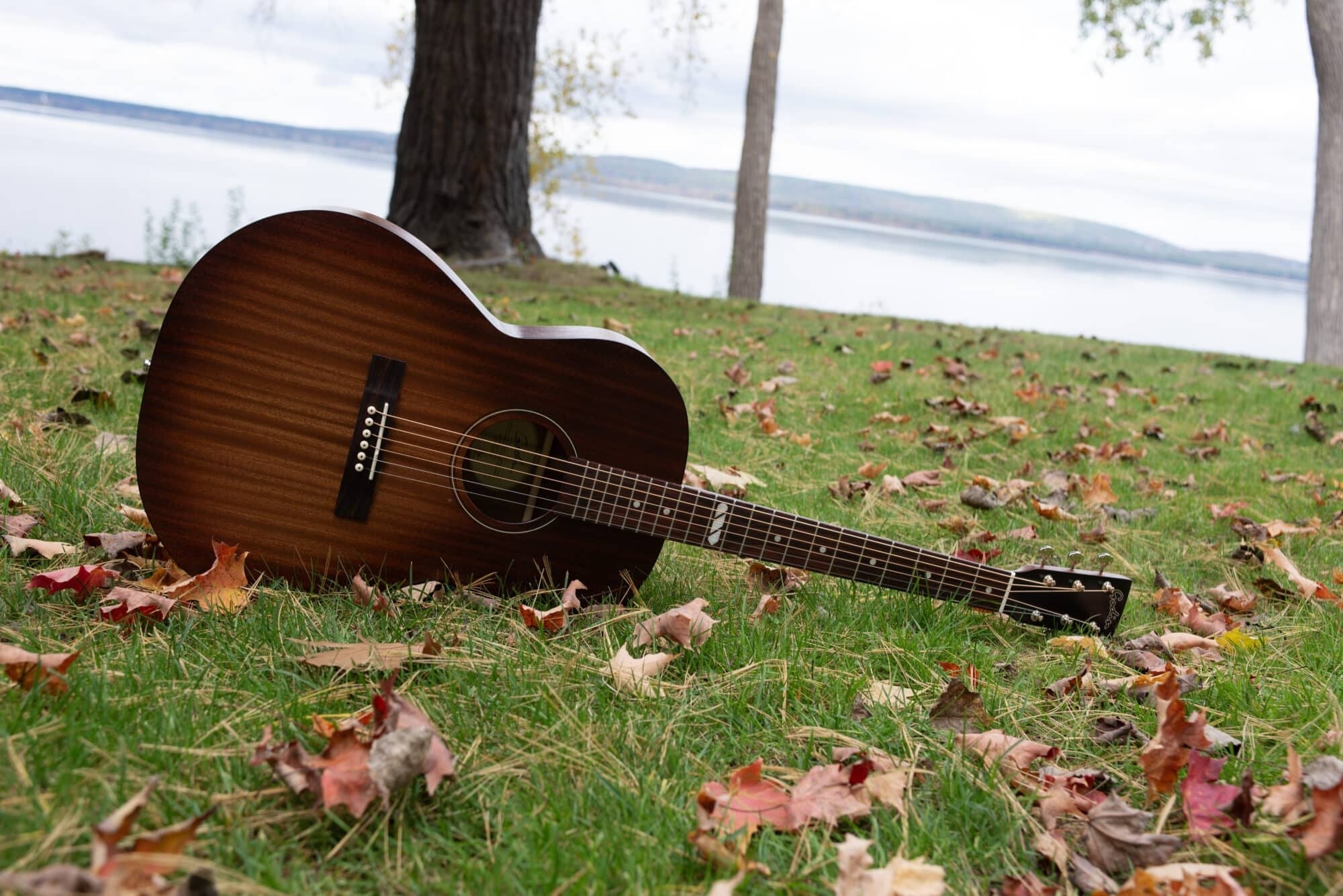 Godin - Mahogany Folk Rustic Burst A/E - La Boîte Musicale - Acoustic Guitars - Godin - 