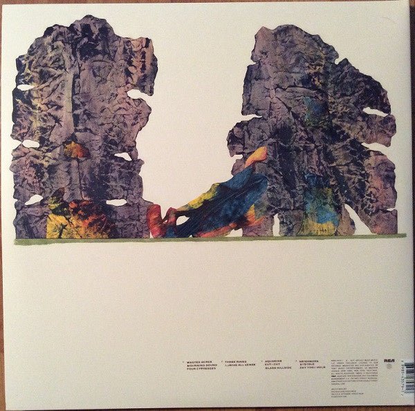 Grizzly Bear - Painted Ruins LP - La Boîte Musicale - Disquaire - 