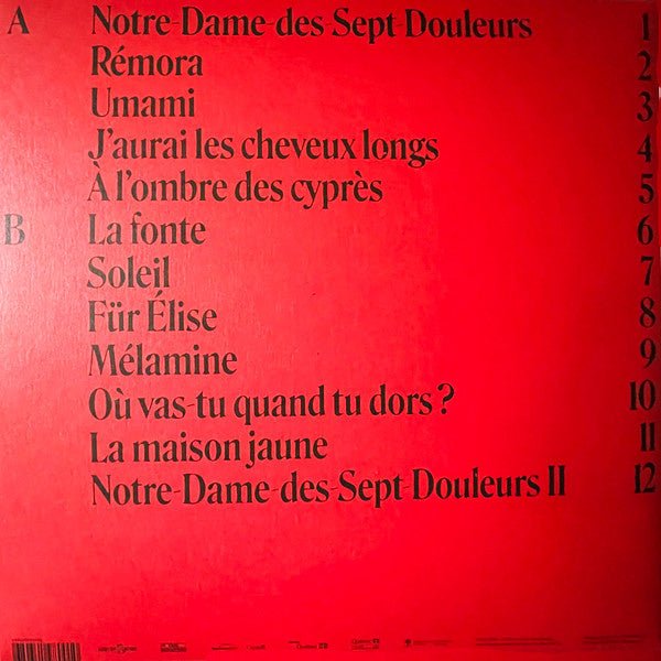 Klô Pelgag - Notre - Dame - Des - Spets - Douleurs (Deluxe) - La Boîte Musicale - Vinyl Records - Vinyl Records - 