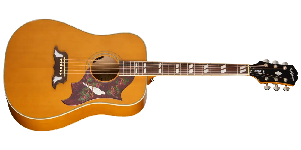 Dove Studio Acoustic/Electric Guitar with Gigbag - Natural