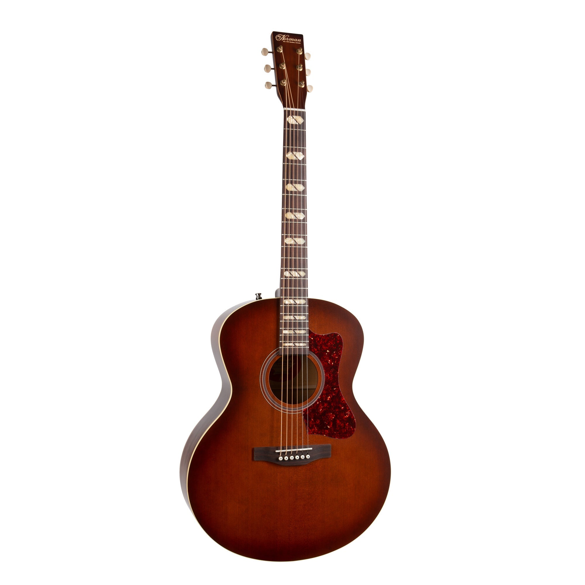 Norman - ST30 MJ Havana Burst Element - La Boîte Musicale - Acoustic Guitars - Norman - 