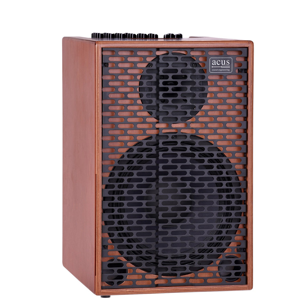 Godin ACUS 250w one forstrings 10 ferdi wood