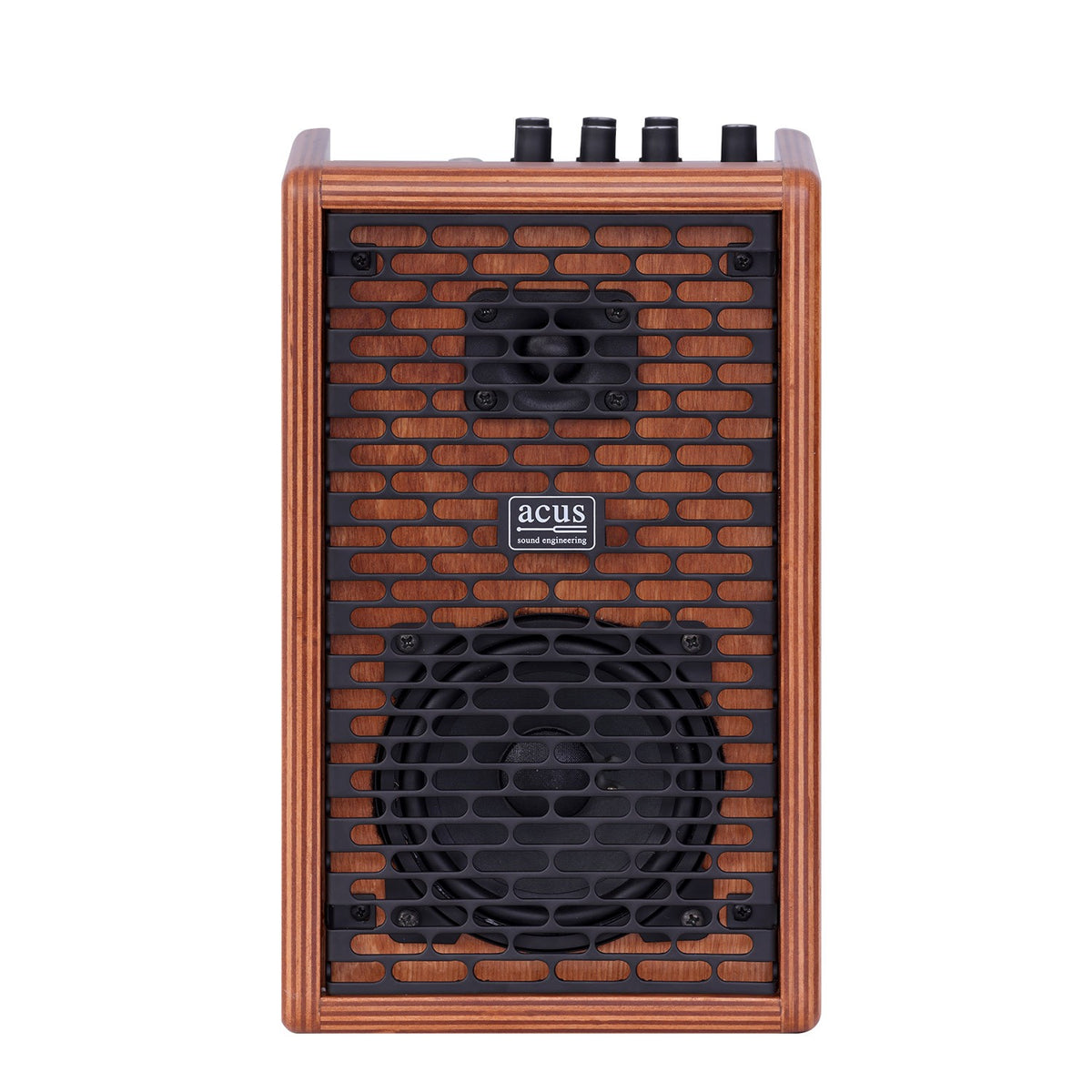 Godin ACUS 40w one forstrings 4 ferdi wood