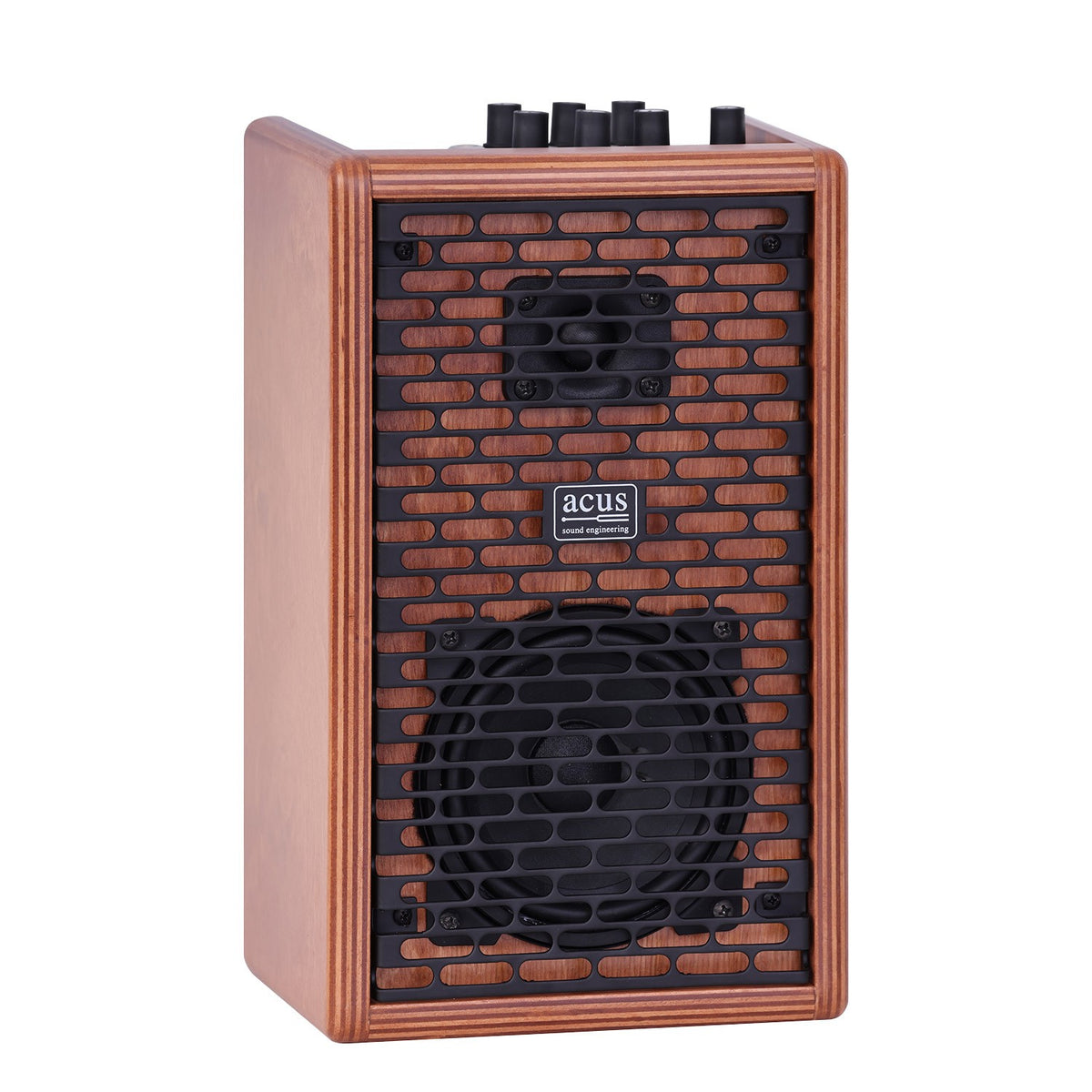Godin ACUS 40w one forstrings 4 ferdi wood