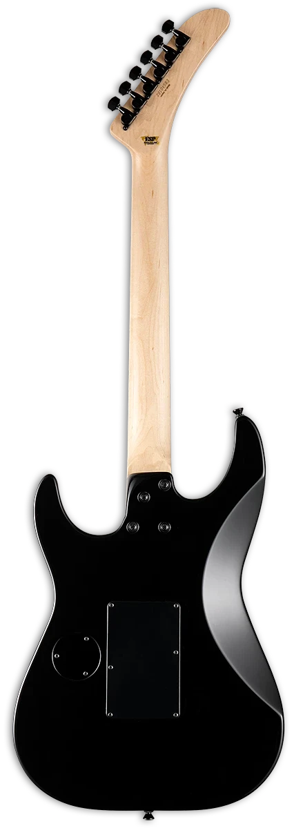 ESP George Lynch, Black with Kamikaze Graphic