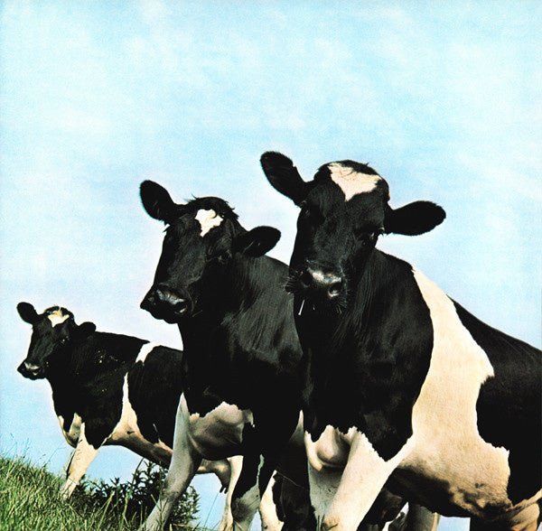 Pink Floyd - Atom Heart Mother - La Boîte Musicale - Vinyl Records - Vinyl Records - 