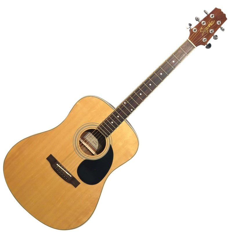 Segovia - Acoustic Guitar D07 - GN - La Boîte Musicale - Acoustic Guitars - Segovia - 